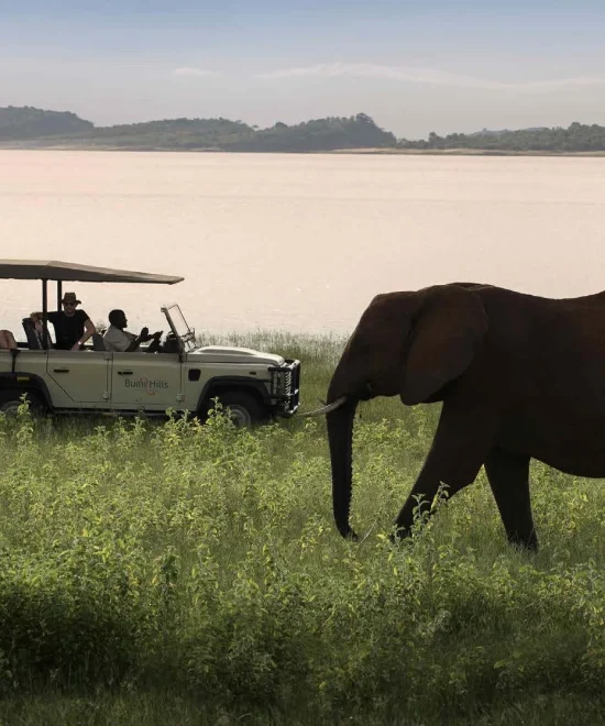 Exploring the Natural Wonder of Sanyati Gorge in Zimbabwe