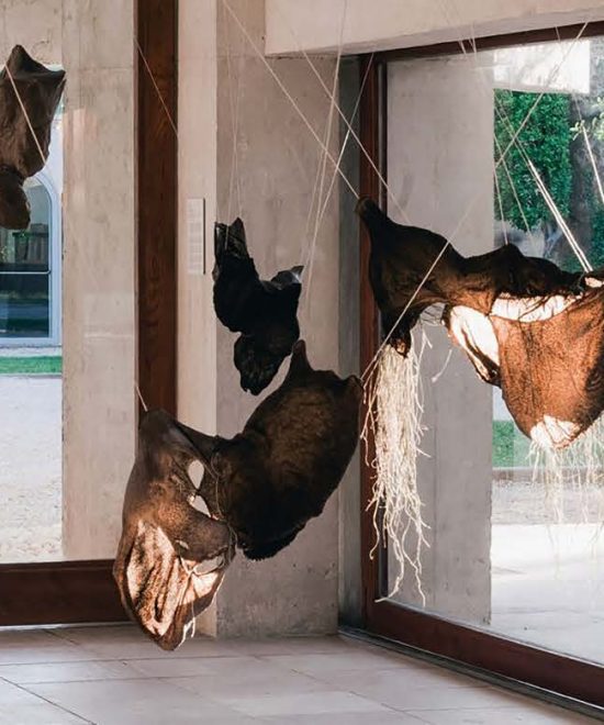 Six of the best for the 2024 Venice Biennale