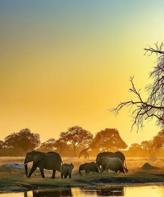 HOW TO MANAGE HABITAT LOSS IN ZIMBABWE