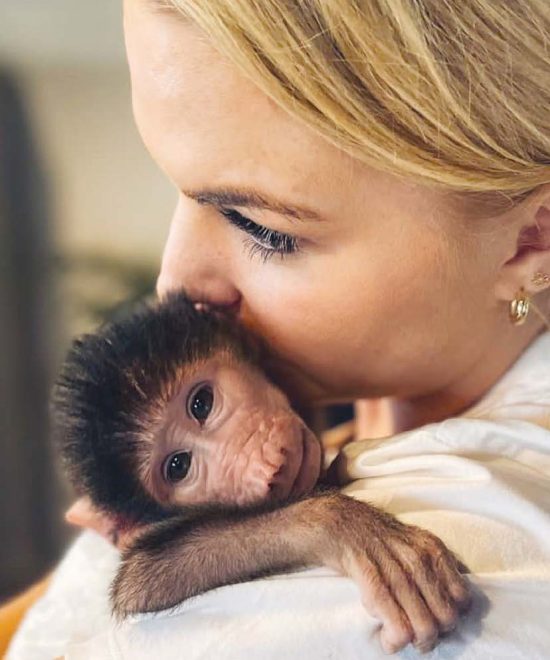 Free to be Wild –a different kind of animal rehabilitation programme.