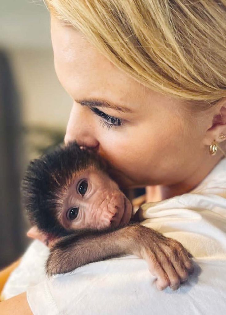 Free to be Wild –a different kind of animal rehabilitation programme.