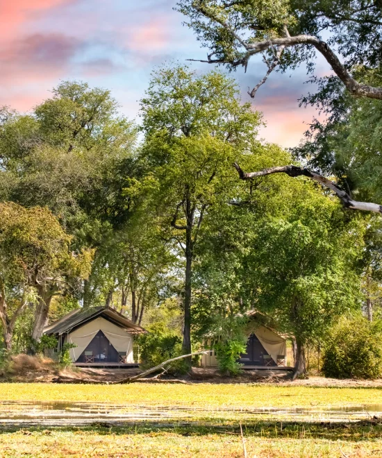 Ingwe Safari Camp Offers the ultimate walking safari and the best in eco-luxury