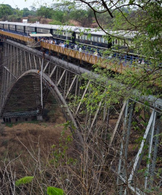 The Ultimate Train Journey: From South Africa to Victoria Falls