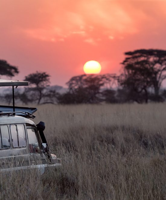 Zimbabwe hosts incentive travel executive summit