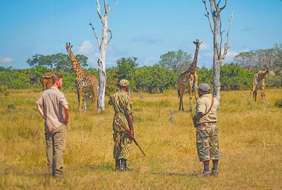 New Training Facility To Boost Capacity For Wildlife Conservation In SADC Region