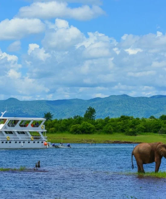 Matusadona National Park: A Wildlife Haven in Zimbabwe