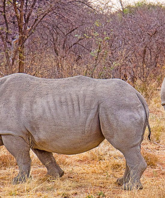 Rural Tourism in Matabeleland: A Pathway to Sustainable Development