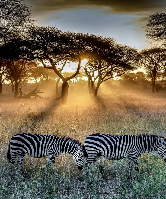 Growing Interest In African Tourism At Experience Africa 2024