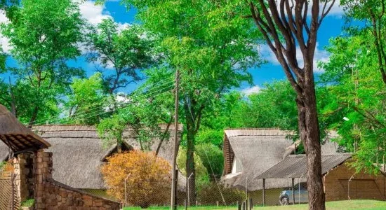 CERRUTI LODGES: FOR AN UNFORGETTABLE EXPERIENCE IN KARIBA