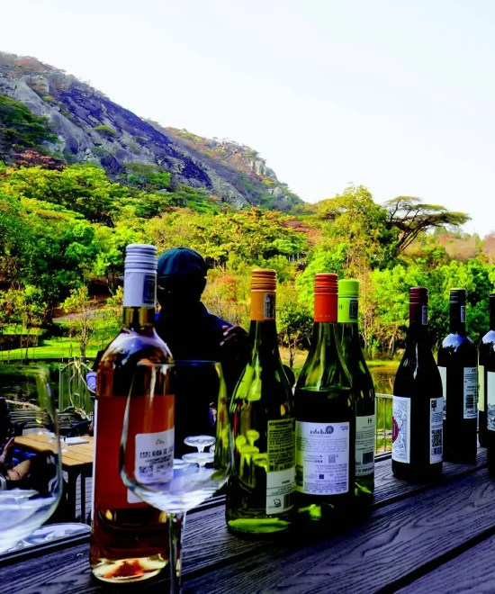 ZIM COMPANIES EXPECTED TO SUPPORT AFRICA TRAVEL INDABA 2025