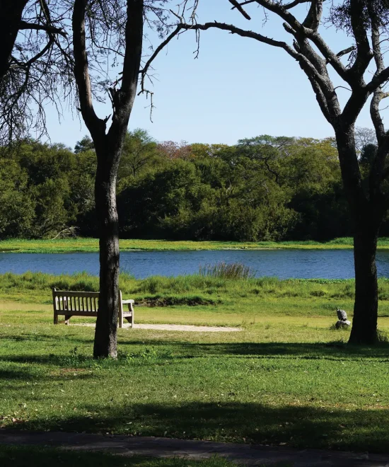 Antelope Park: A Zimbabwean Wildlife Paradise