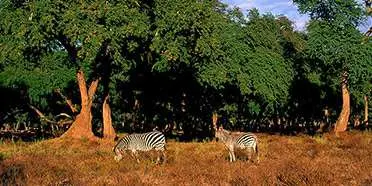 Chizarira National Park: Home of Hidden Gorges