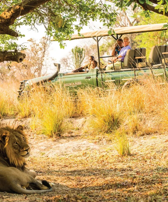 CAMP MANA: YOUR GATEWAY TO MANA POOLS’ WONDERS . Experience the Untamed Beauty of Chitake Springs