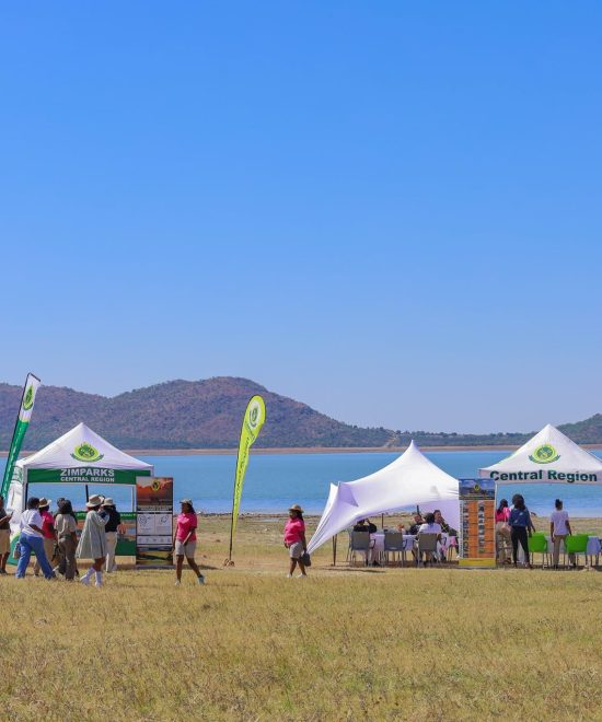 Sebakwe Dam Recreational Park
