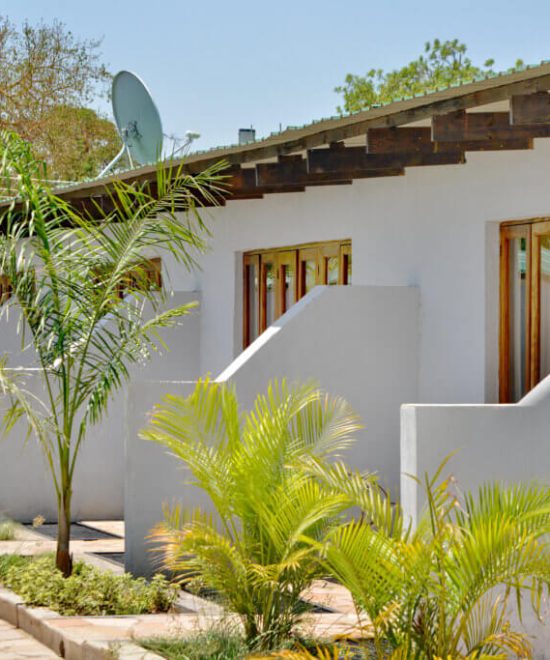 FIGTREE CAMP: NEW SAFARI DESTINATION OPENS NEAR HARARE