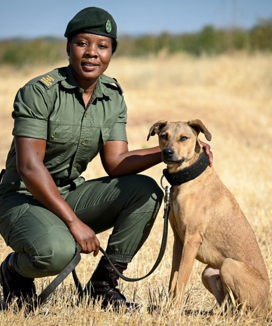 CELEBRATING ZIMBABWE’S FEARLESS FEMALE RANGERS