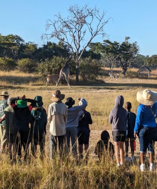 GOSHO PARK OFFERS YEAR-ROUND NATURE ESCAPE AND CONSERVATION EDUCATION