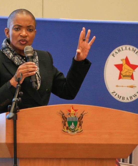 NEW TOURISM BILL TAKES CENTRE STAGE IN PARLIAMENTARY WORKSHOP